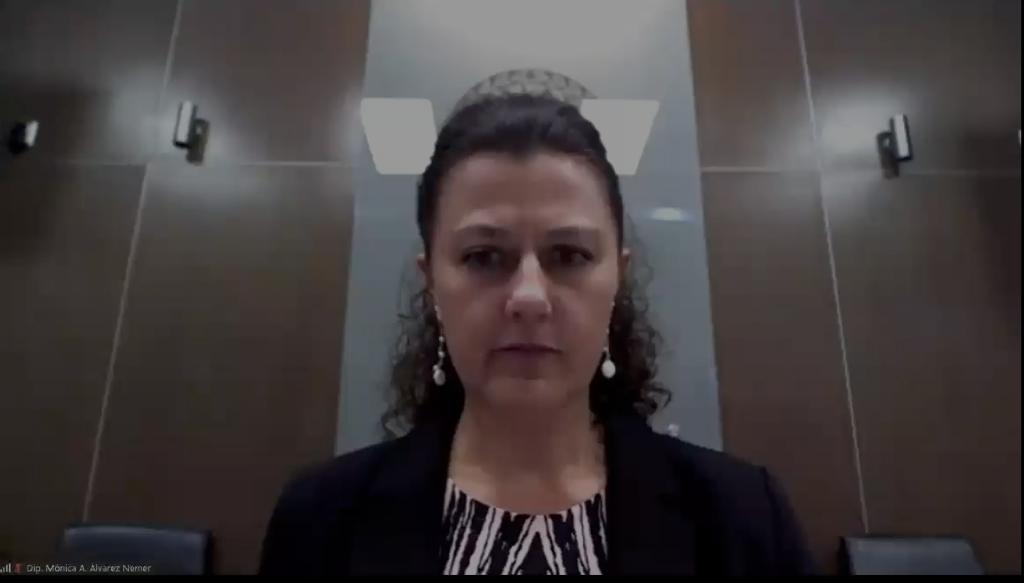 Fue presentada por las diputadas Mariana Uribe y Karina Labastida. (Claudia Hidalgo)
