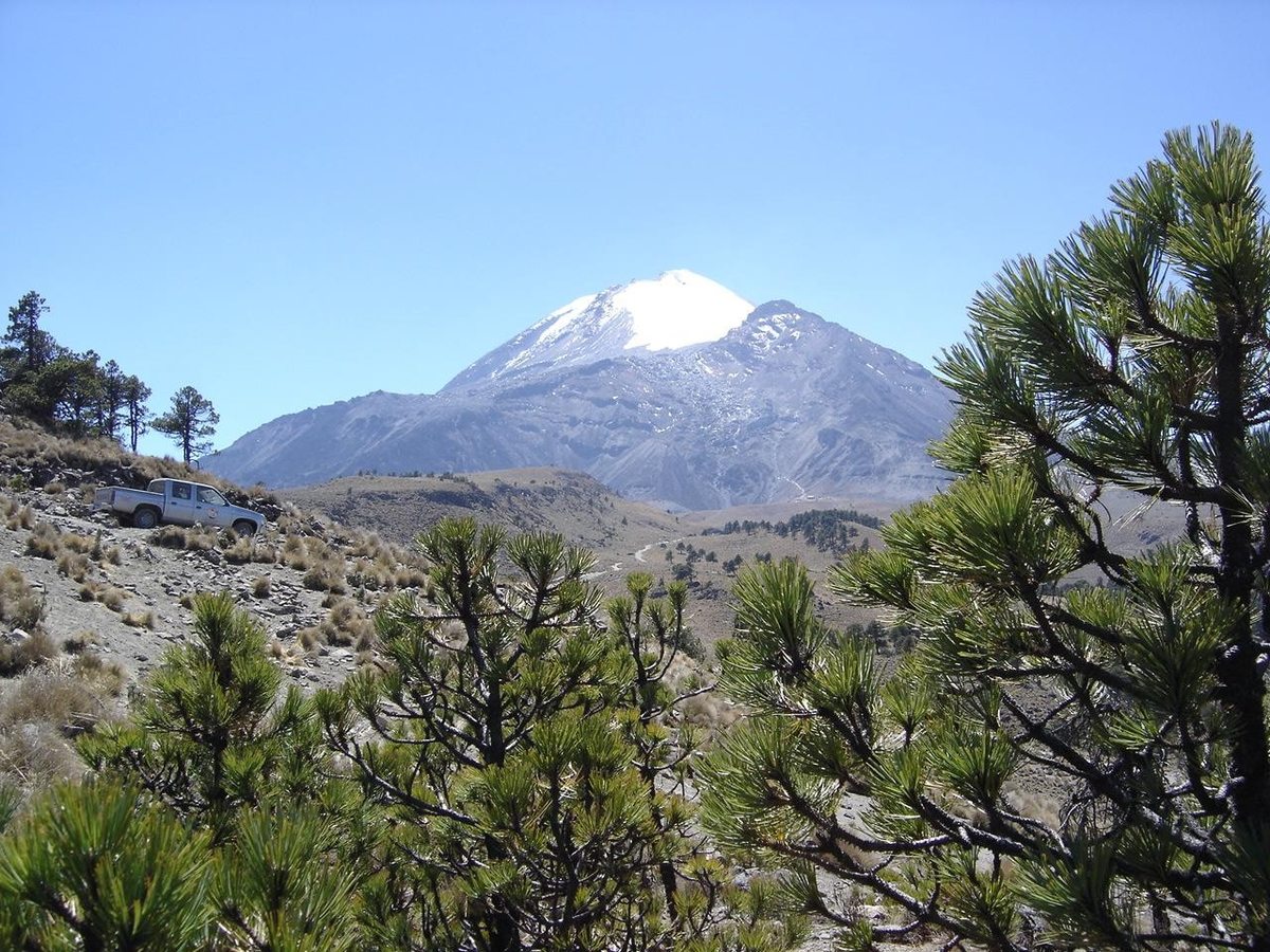 Parque Nacional Pico de Orizaba. (Conanp)