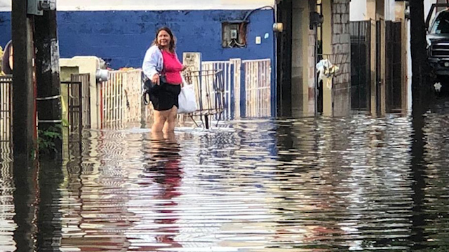 Protección Civil activa alerta gris en Veracruz tras inundaciones