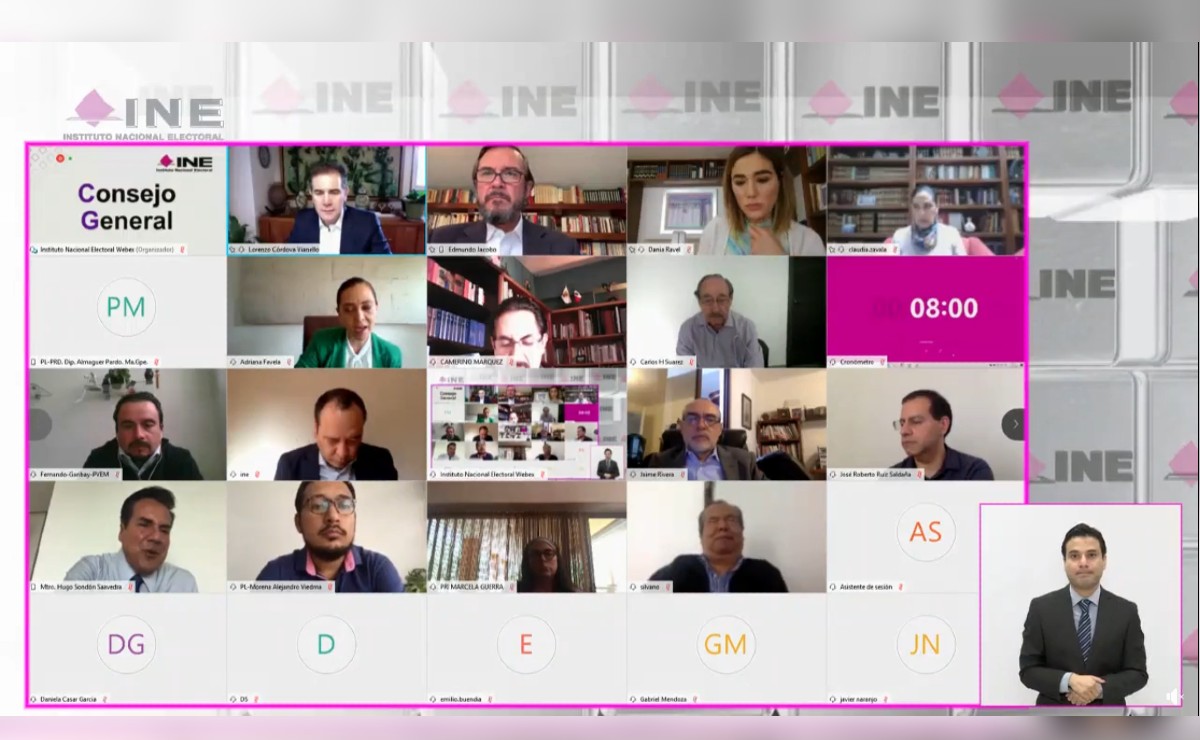 Sesión virtual del Consejo General del INE. (Captura)