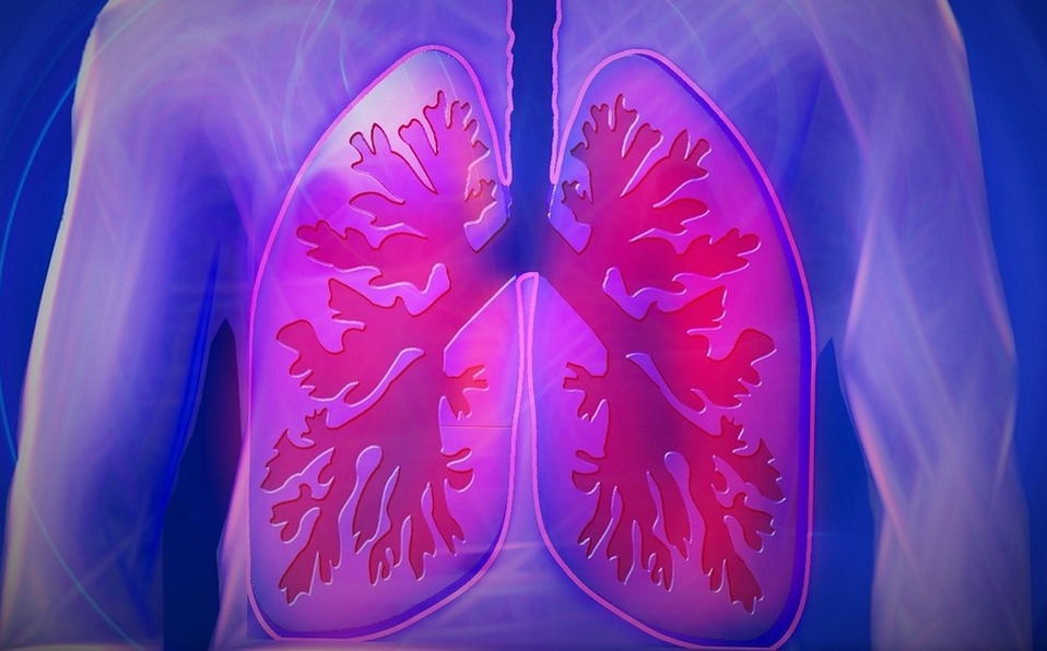 ¿Cómo cuidar y fortalecer los pulmones?