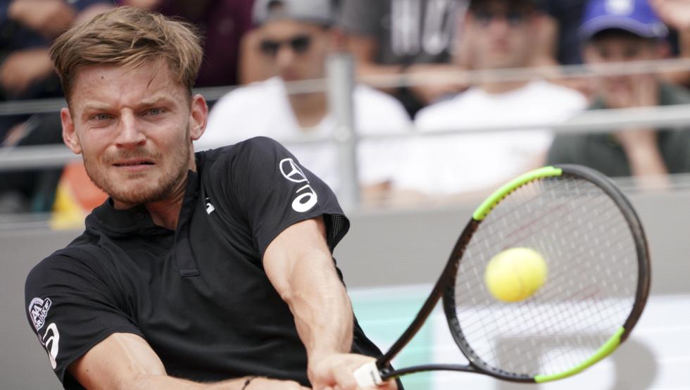 David Goffin (AP)