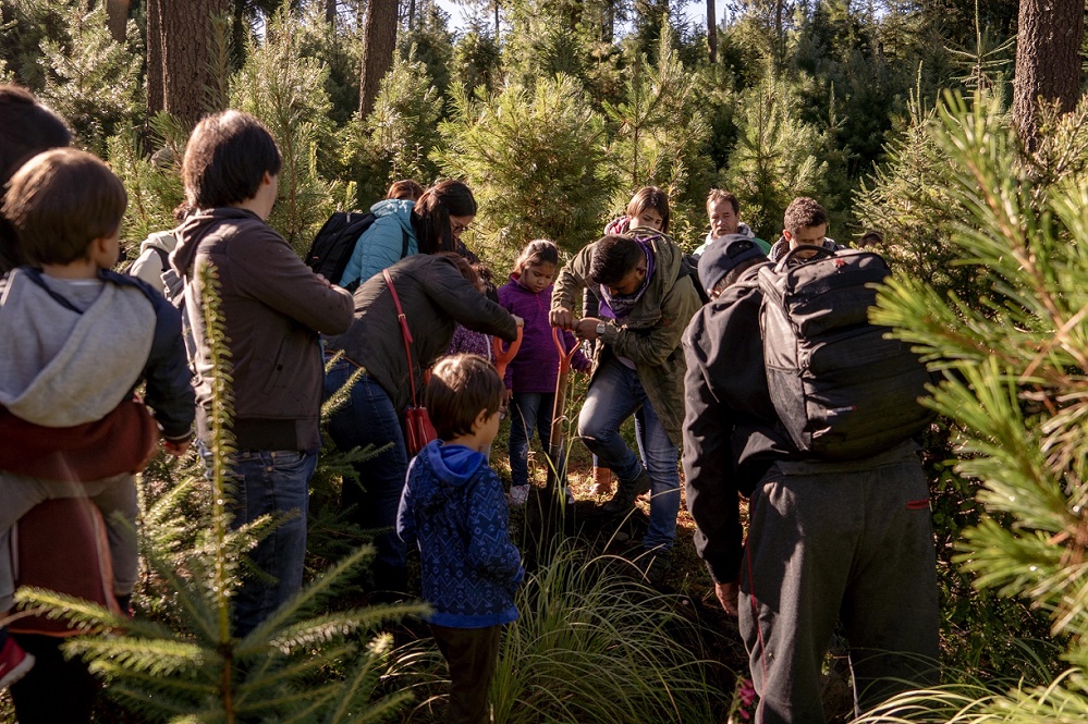 Los programas incluyeron la reforestaron 20 hectáreas con cinco mil pinos y acahuites. Cortesía