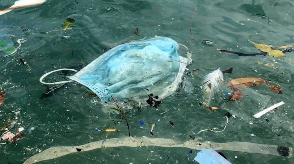 Cubrebocas contaminan ríos y lagunas de Tamaulipas . | Cortesía
