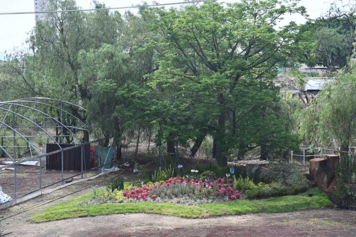 Con jardín polinizador, mejoran Parque Ecológico de Irapuato.