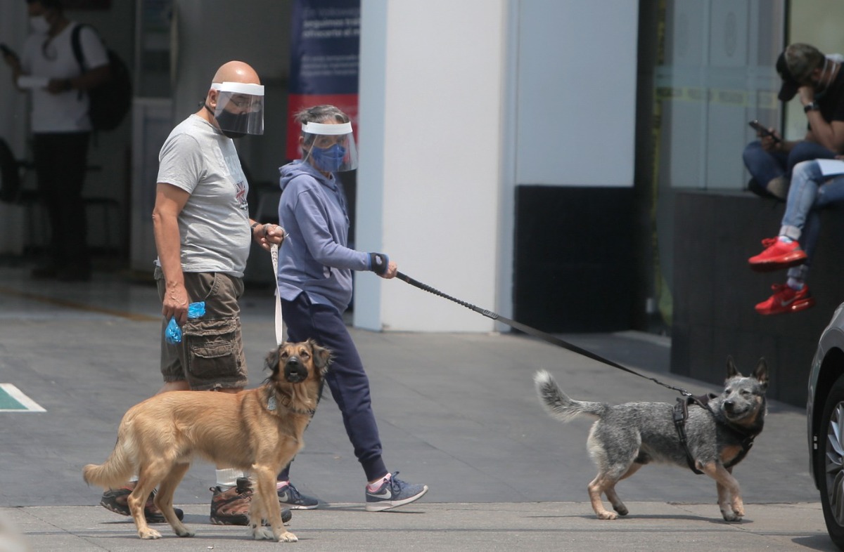 Una pareja pasea a sus perros con todas las medidas de seguridad. (Ariana Pérez)