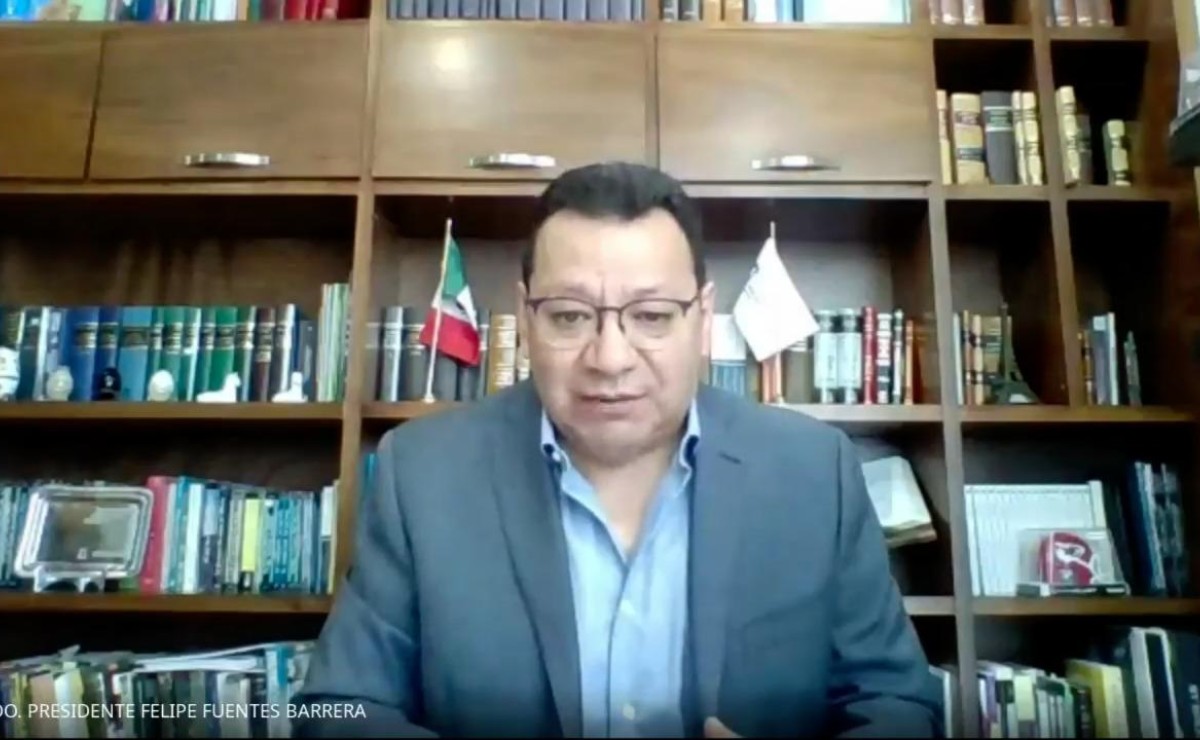 Felipe Fuentes Barrera, presidente de la Sala Superior del TEPJF. (Captura)