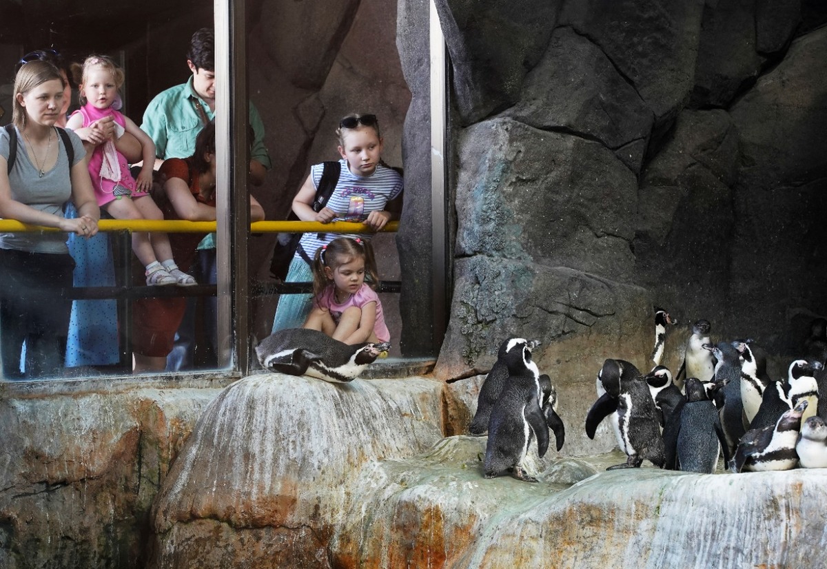 El zoológico de Moscú reabrió sus puertas después de un largo tiempo cerrado a causa de la pandemia. (Reuters)