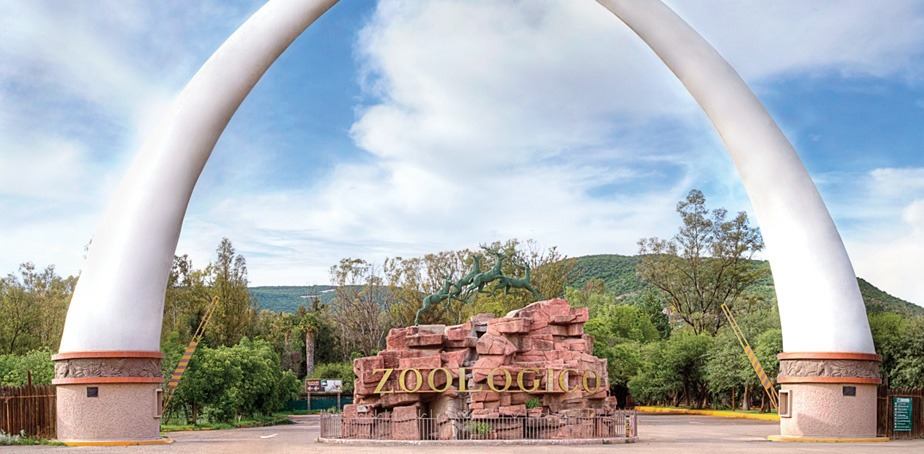 Parque Zoológico de León. Foto: León mx