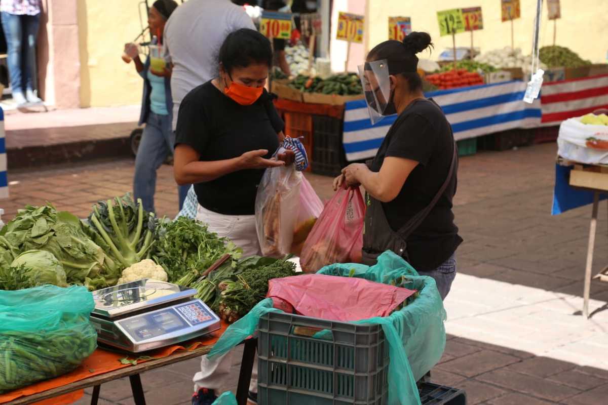 Reabren actividades del tianguis de Actopan. (Jorge Sánchez)