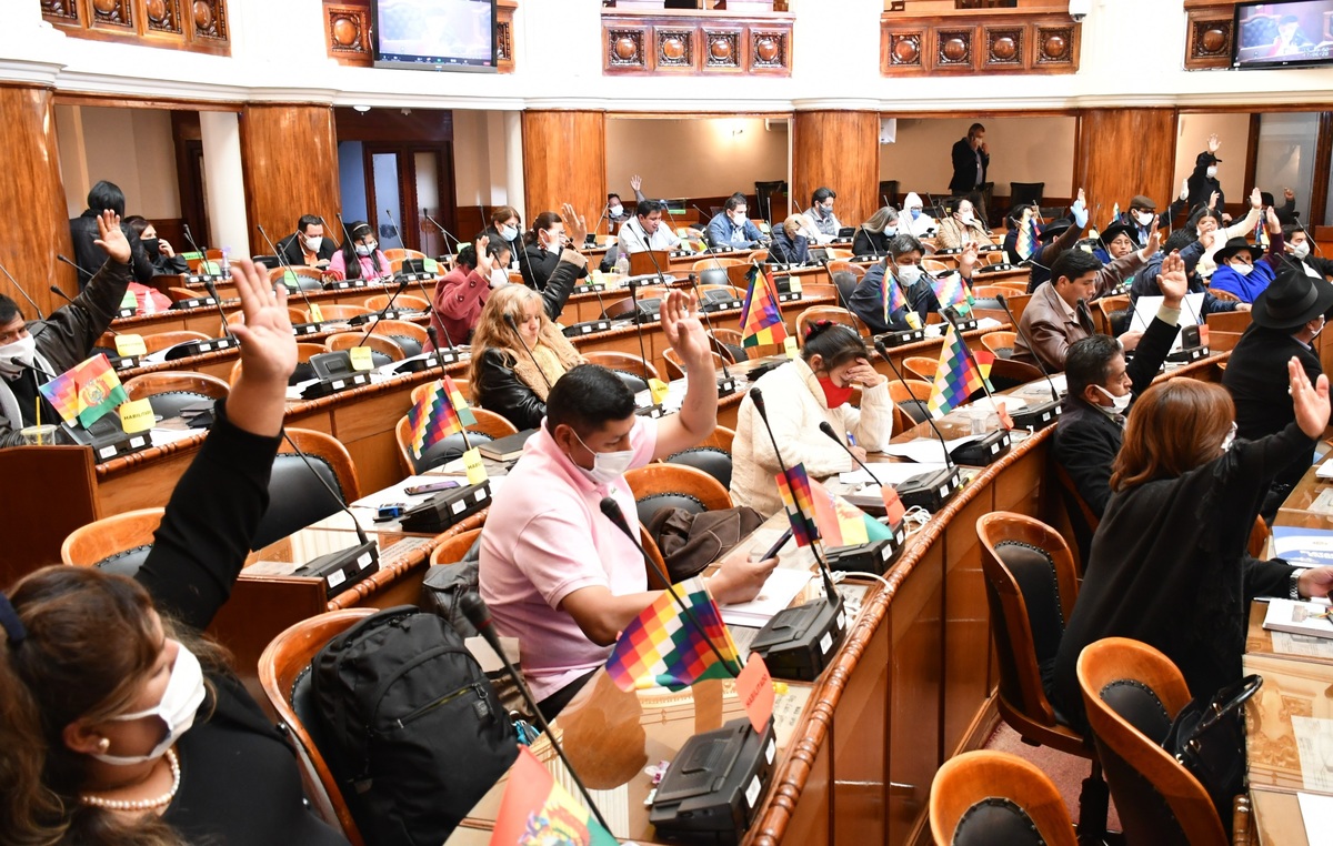Dos senadoras bolivianas dan positivo a coronavirus. (Twitter/ @Diputados_Bol)