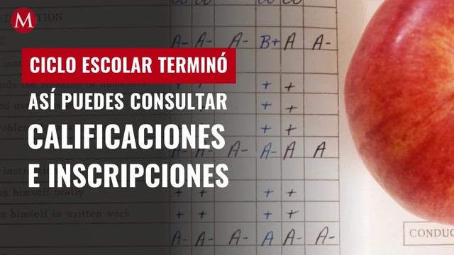 ¡El ciclo escolar terminó! Así puedes consultar calificaciones e inscripciones