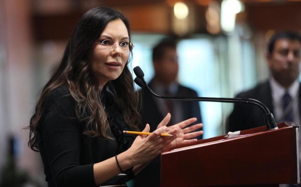 Laura Rojas Reyes Laura Rojas admite exhorto de CNDH a legislar sobre papel del Ejército ...