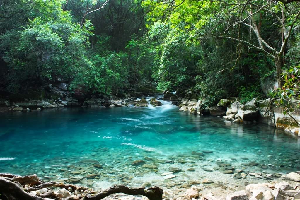 Reserva Ecológica de la Biósfera El Cielo; un paraíso en Tamaulipas. Cortesía