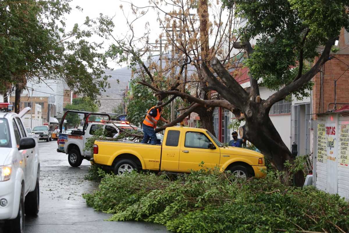 Las rachas de viento provocaron daños en La Laguna. (Mauricio Román)