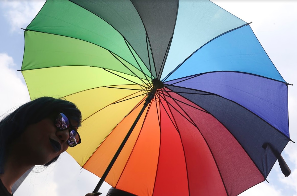 Marcha del Orgullo. (Octavio Hoyos)