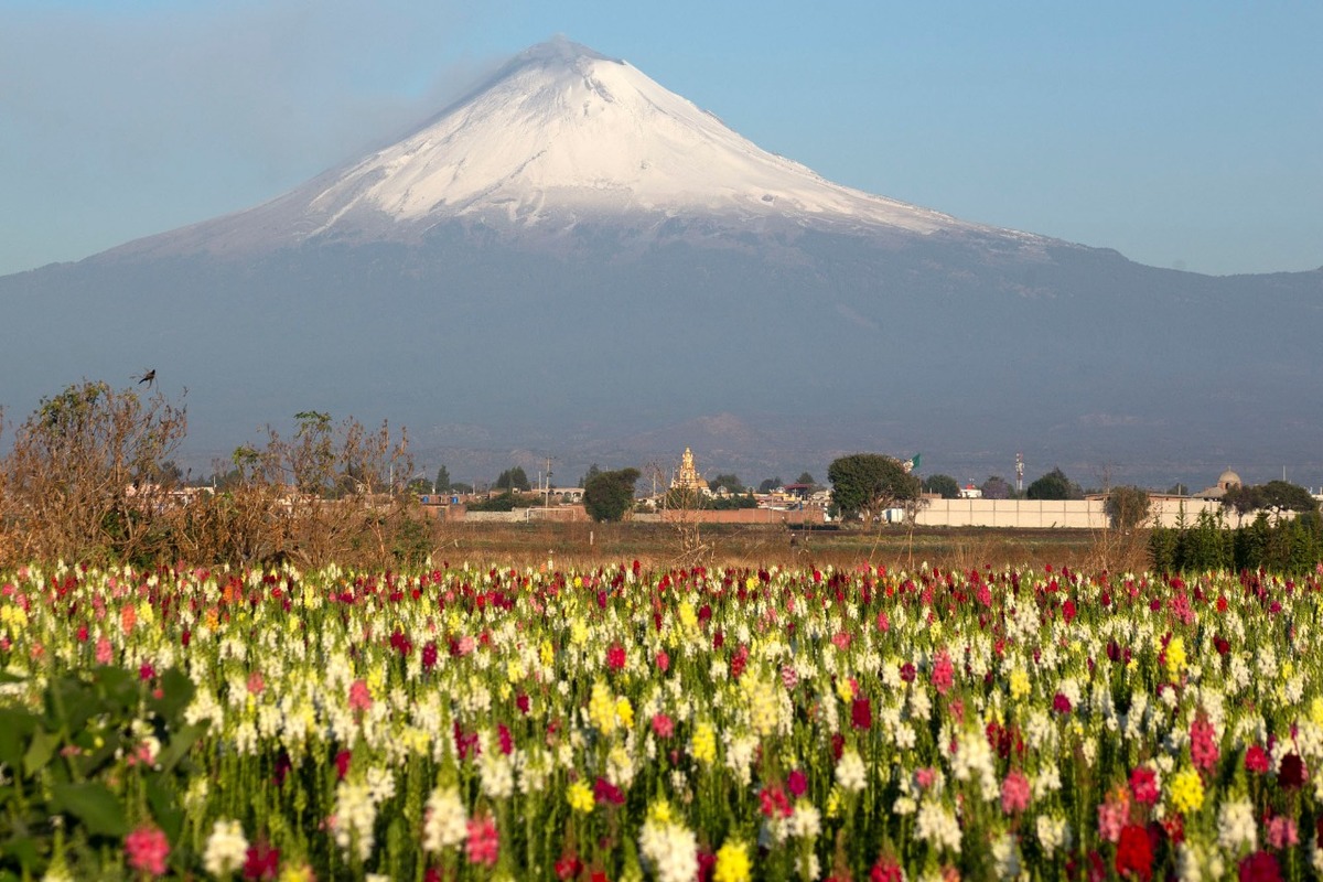 En las últimas 24 horas, el volcán Popocatépetl registró 114 exhalaciones. (Andrés Lobato)