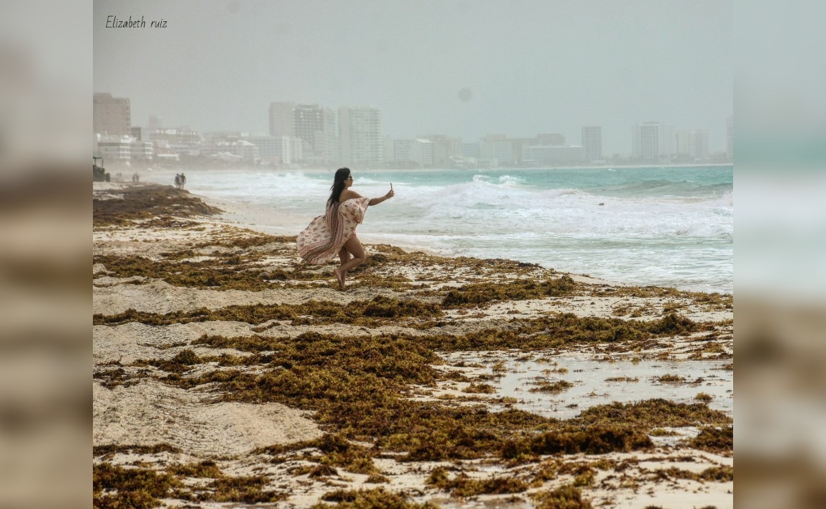 Las costas de Quintana Roo han recibido más de cinco mil toneladas de sargazo. (Especial)