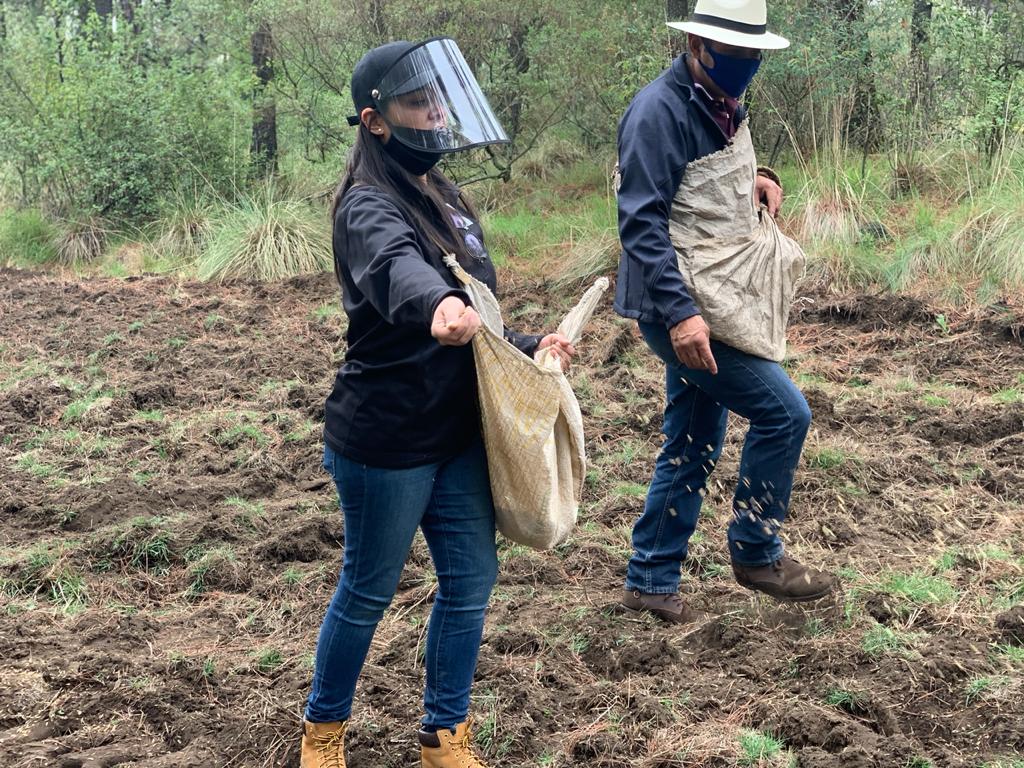 La alcaldesa Patricia Ortiz Couturier explicó que esa acción forma parte del programa Apoyo con Insumos a la producción agrícola.