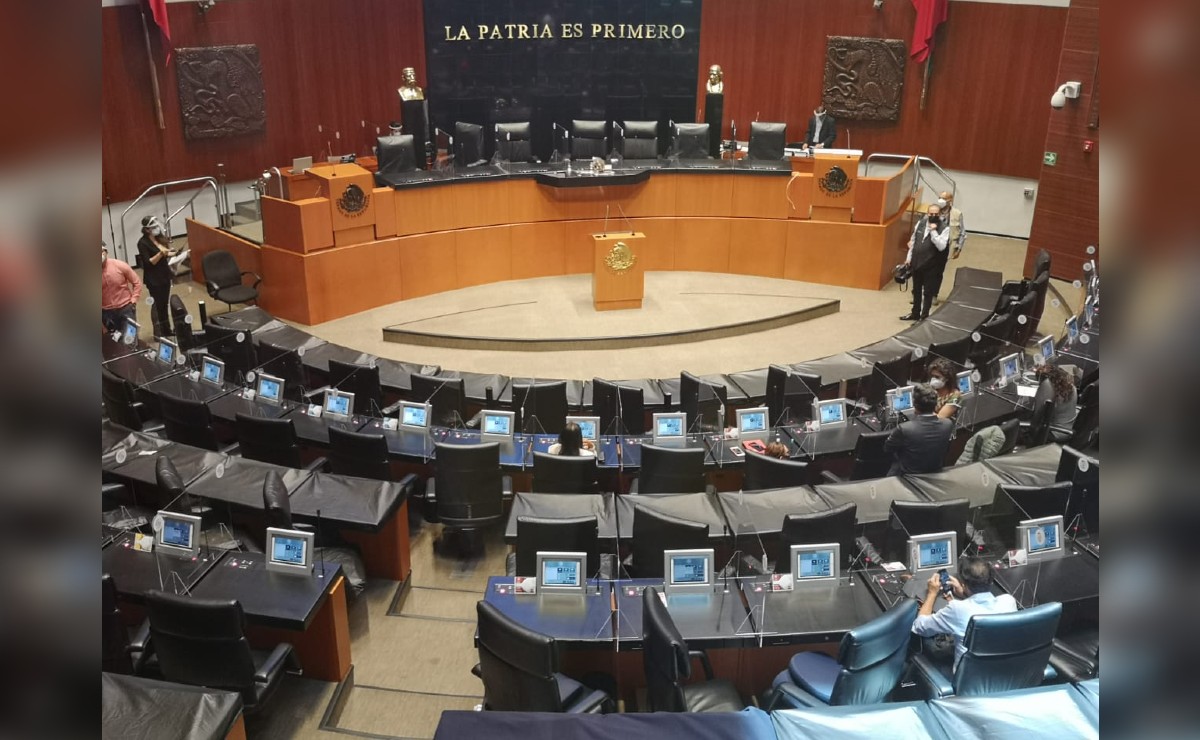 Entre medidas sanitarias la Comisión Permanente votará por un periodo extra. (Silvia Arellano)