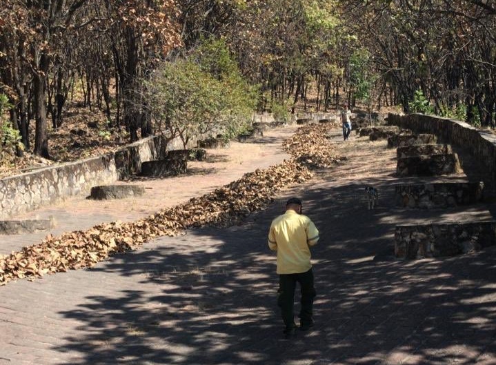 El Bosque de La Primavera y 11 parques abrirán sus puertas. (Especial)