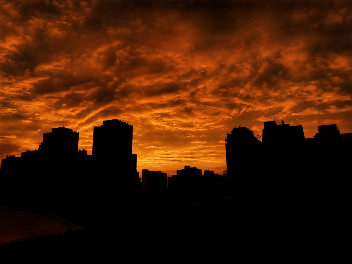 Cómo sacar fotos buenas y simples con tu smartphone.