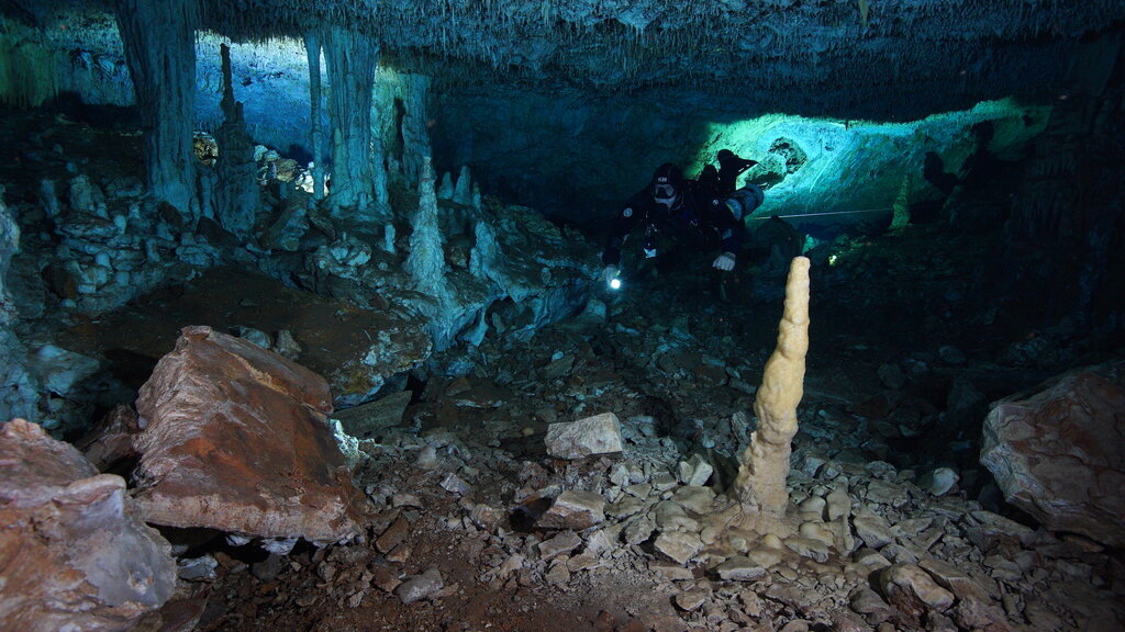En el cenote también se hallaron algunas herramientas con las que extraían el ocre | AP