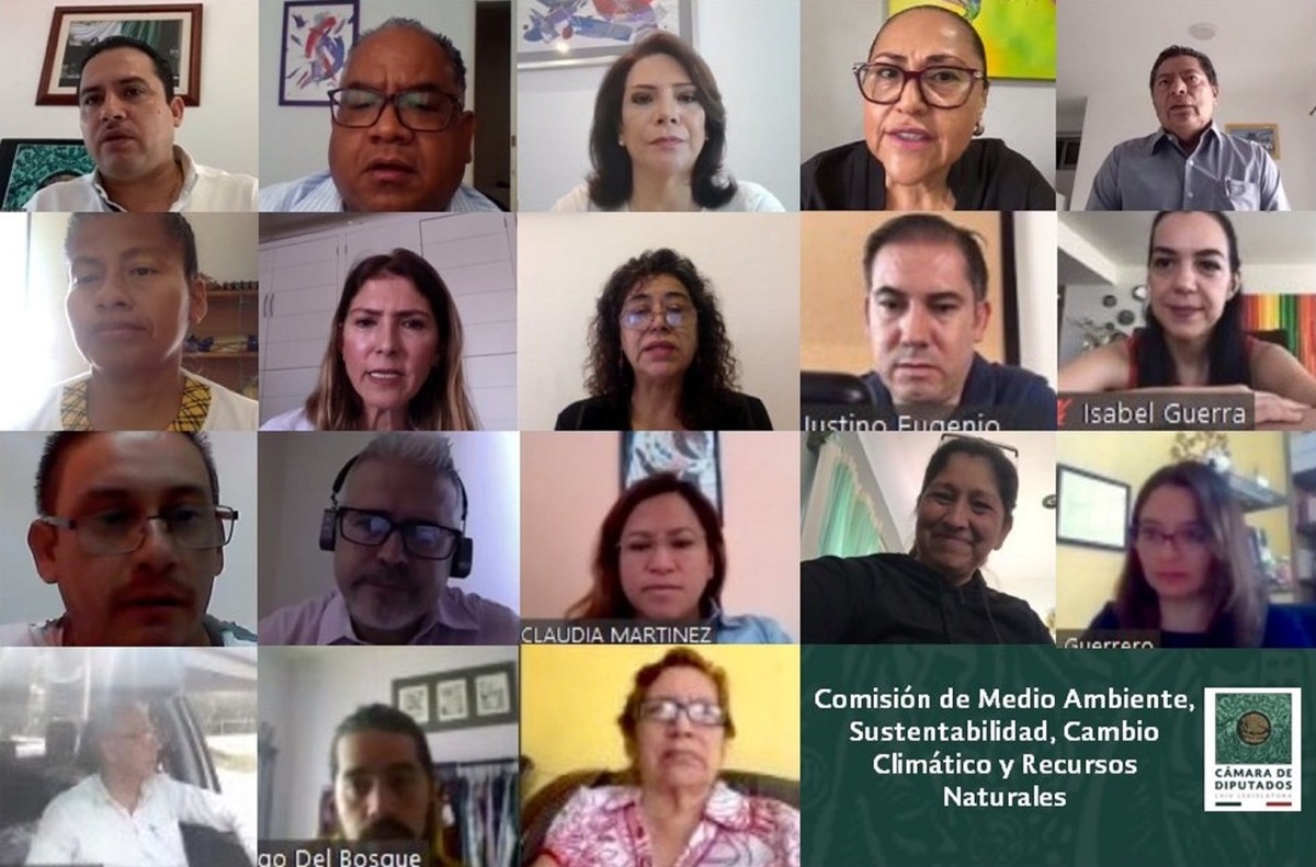 Los diputados de la comisión realizaron un reunión virtual para debatir la minuta. (Especial)