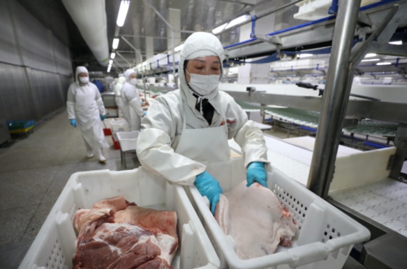 El Ministerio de Agricultura y Asuntos Rurales de China dijo que la cepa G4 de gripe porcina no es nueva. (Reuters)
