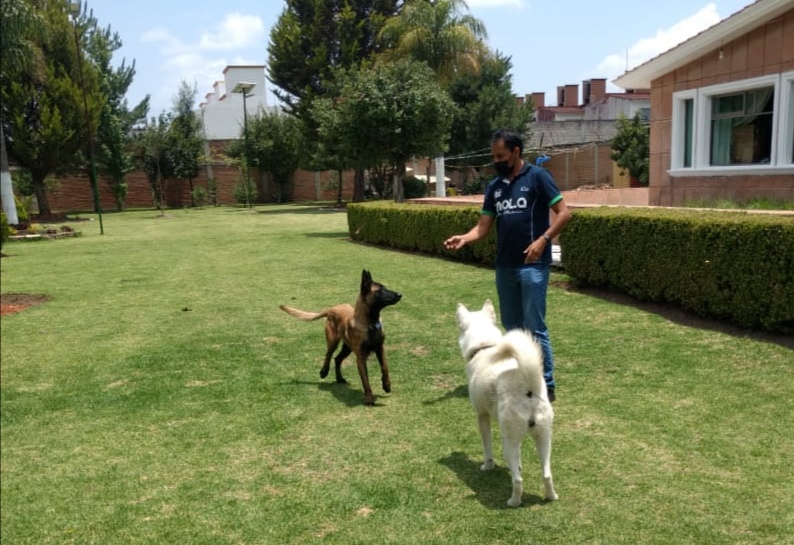 Una de sus principales distracciones es jugar con sus mascotas. (Fotografía: Especial)