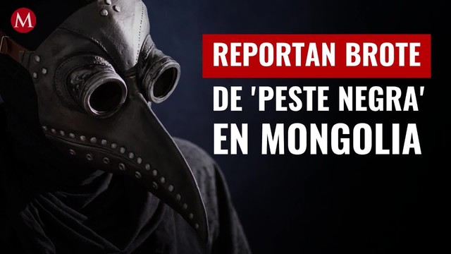 Reportan brote de 'peste negra' en Mongolia; qué es y cuáles son los síntomas