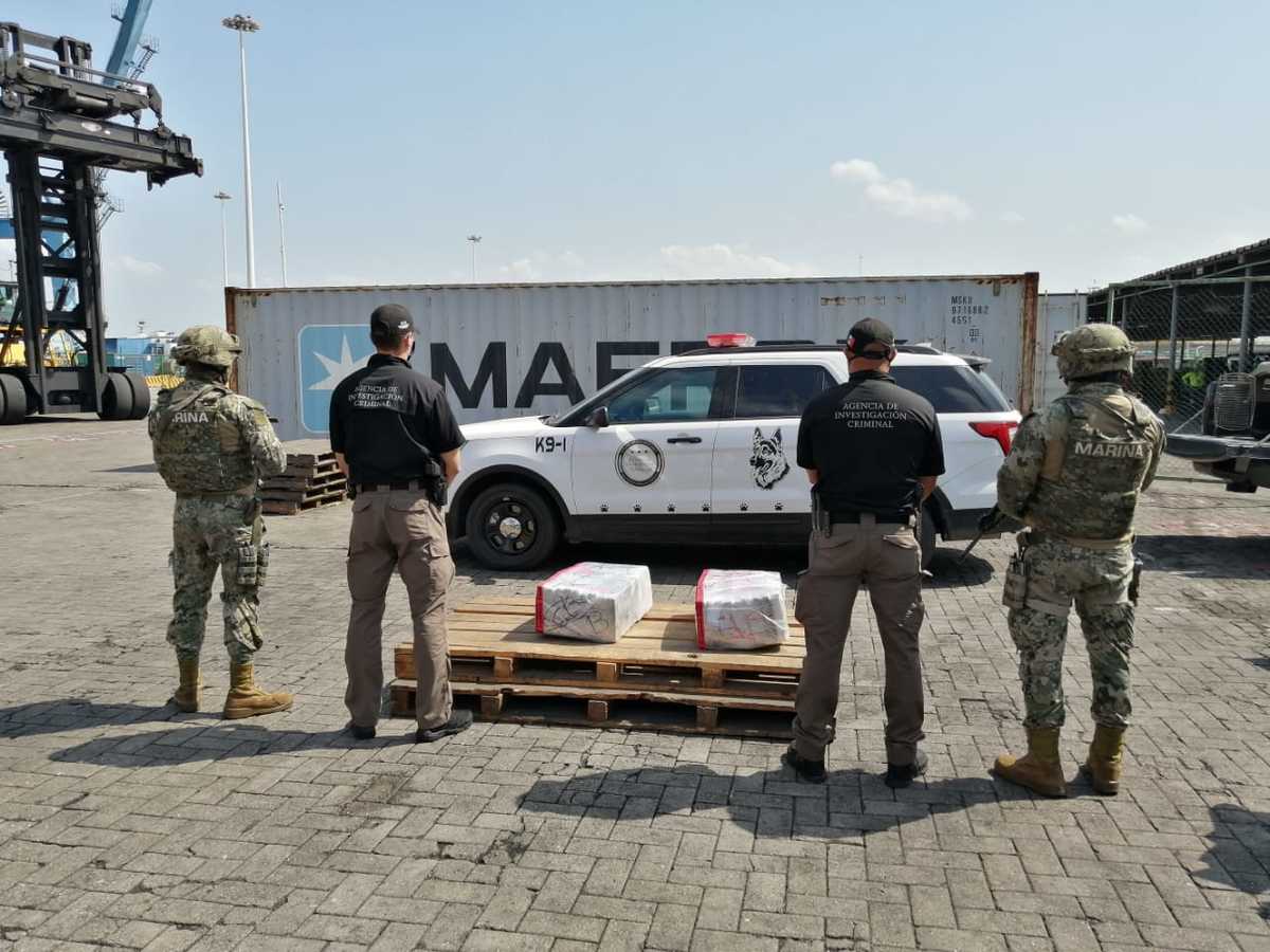 La detención y aseguramiento del alcaloide derivó de una inspección de rutina./ Especial