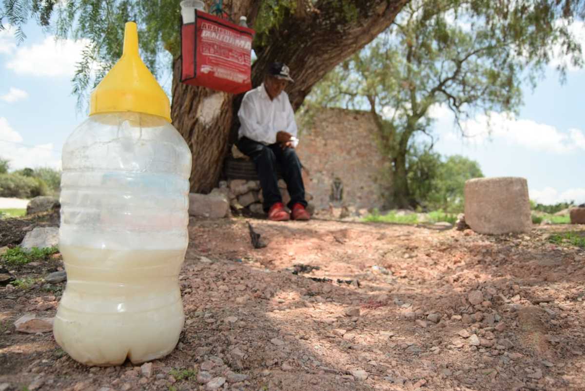 Producción de pulque en Hidalgo. (Francisco Villeda)