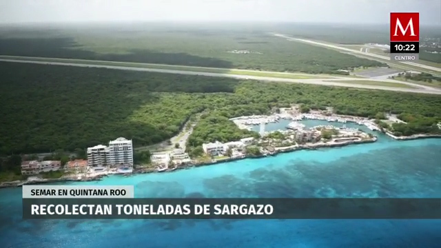 En QRoo, Semar retira más de cinco mil toneladas de sargazo