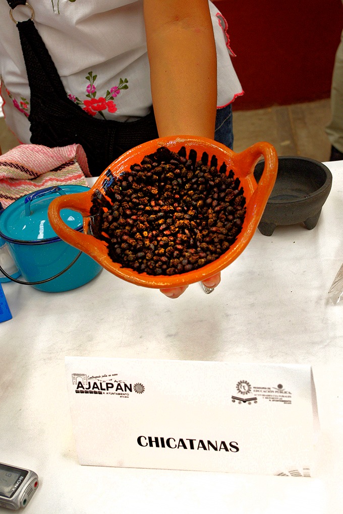 La salsa de hormiga chicatana la ocupan para acompañar diversos alimentos. (Apolonia Amayo)