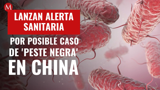 Lanzan alerta sanitaria por posible caso de 'peste negra' en ciudad de China