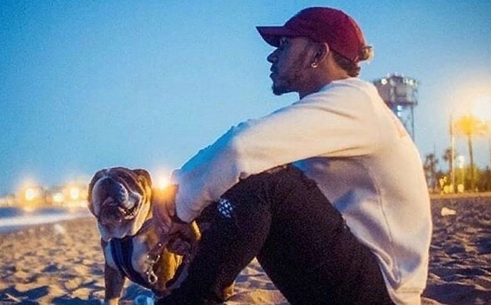 Lewis Hamilton vuelve vegano a su perro Roscoe- Grupo Milenio
