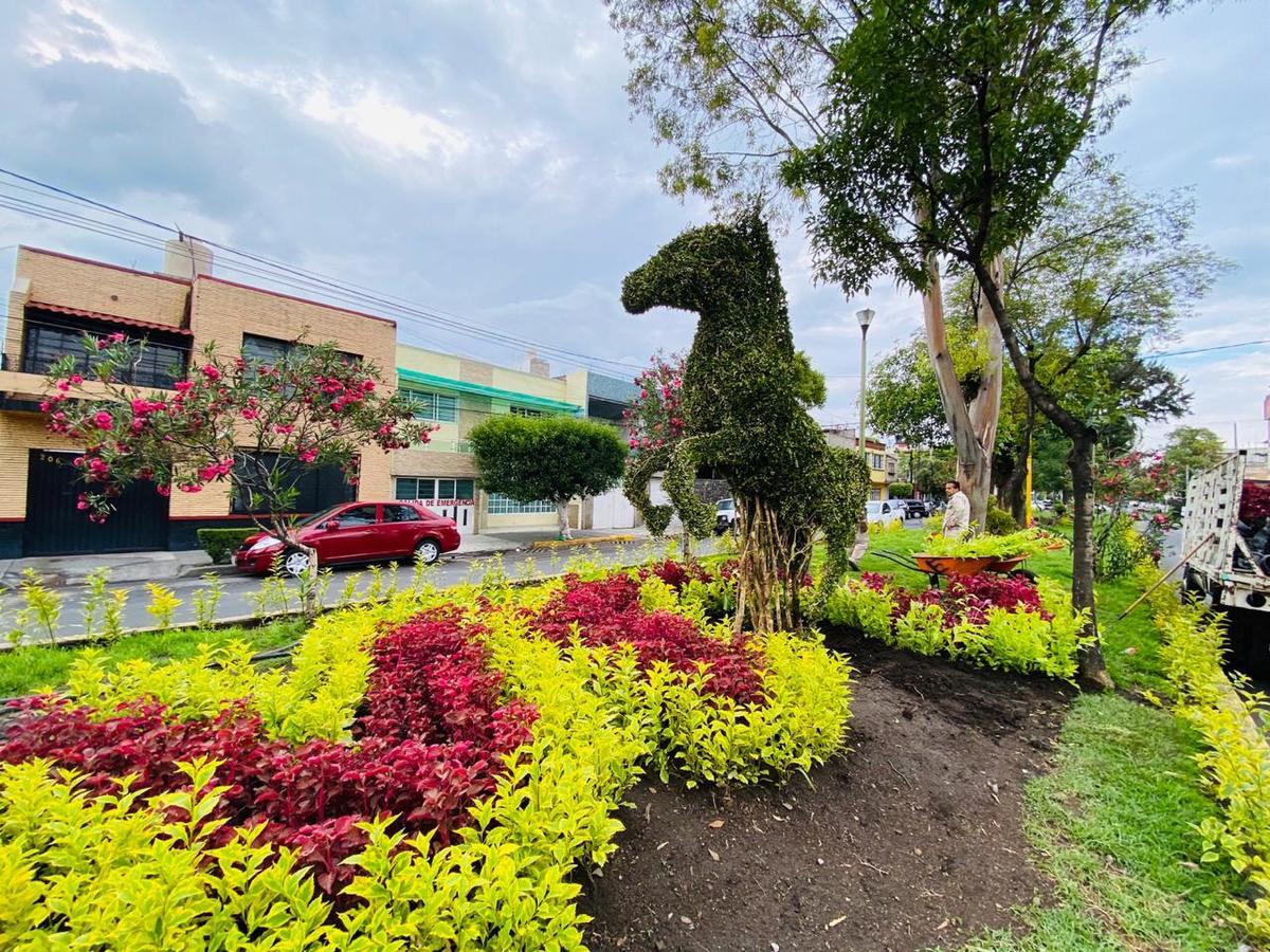 El alcalde de Venustiano Carranza informó que se encuentra rehabilitando el Camellón de la Avenida Oriente 172, en la colonia Moctezuma. (Especial)