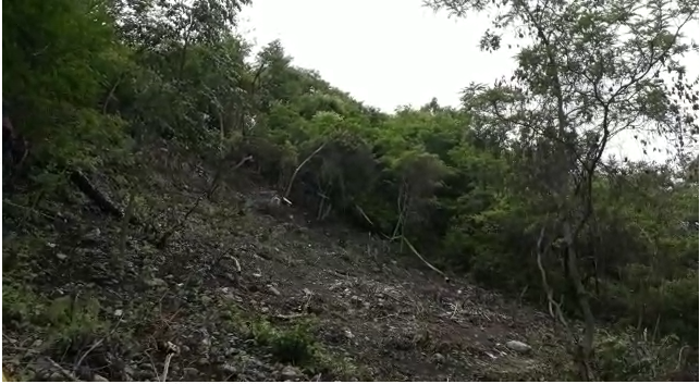 La Barranca de la Carnicería está acordonada, pero en el abandono.