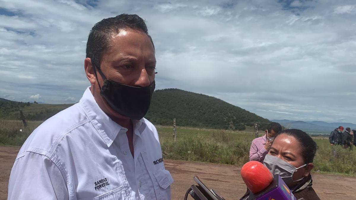 El año pasado ya se contabilizaban mil 475 incendios. (Monserrat Mata)