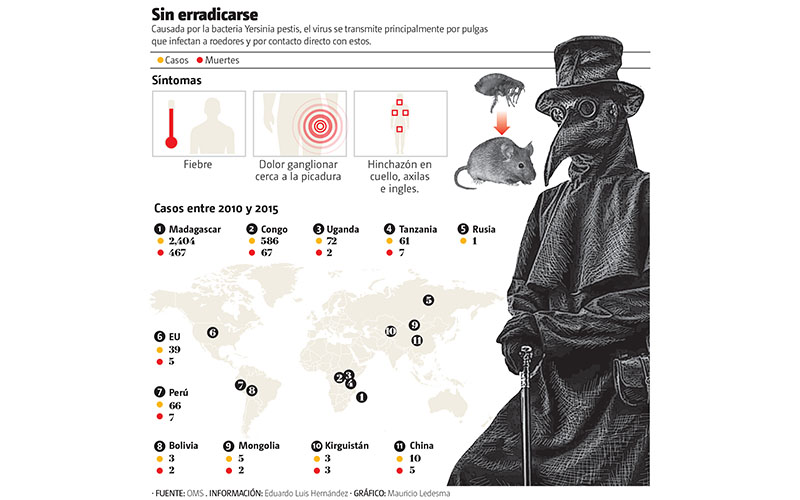 Sin erradicarse. Causada por la bacteria Yersinia pestis, el virus se transmite principalmente por pulgas. (Gráfico: Mauricio Ledesma)