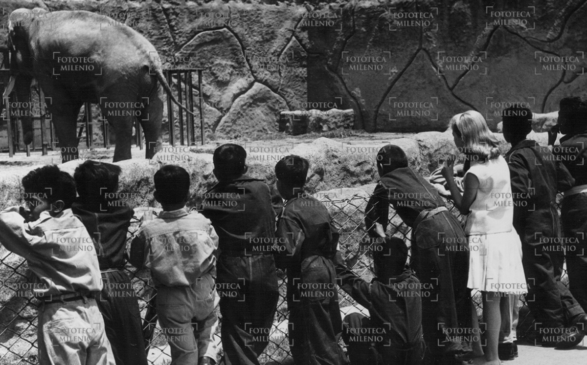 Zoológico de Chapultepec en sus inicios