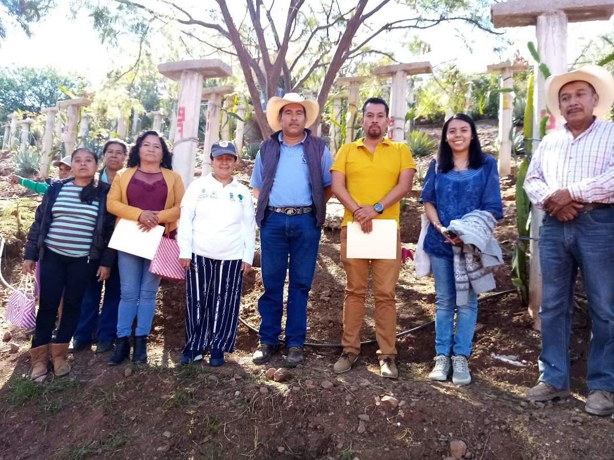 Los alumnos obtuvieron el tercer lugar del XVIII Premio Nacional Amanda Rimoch a la Educación Ambiental 2019-2020. (Especial)