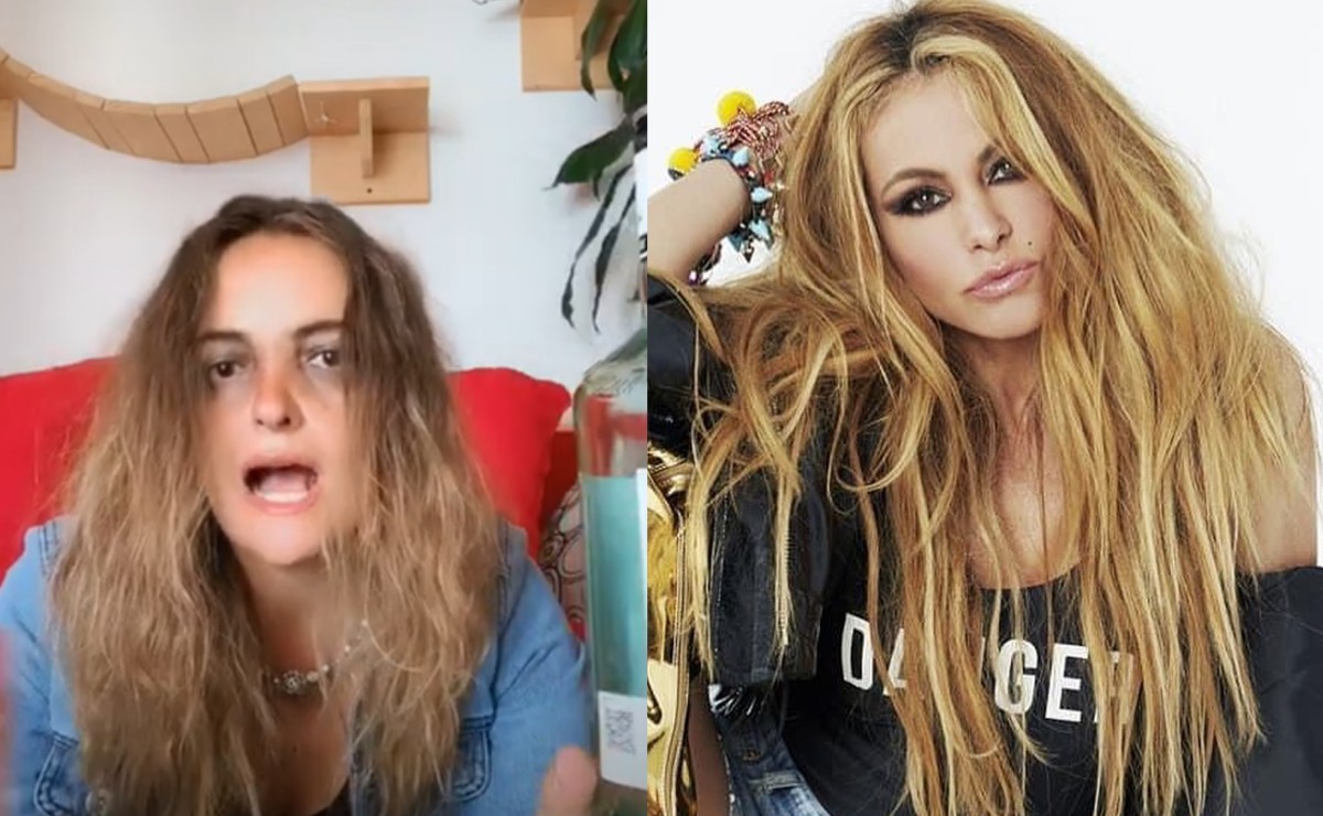Profesora de primaria pierde su trabajo por subir video en TikTok. (Captura/Instagram)
