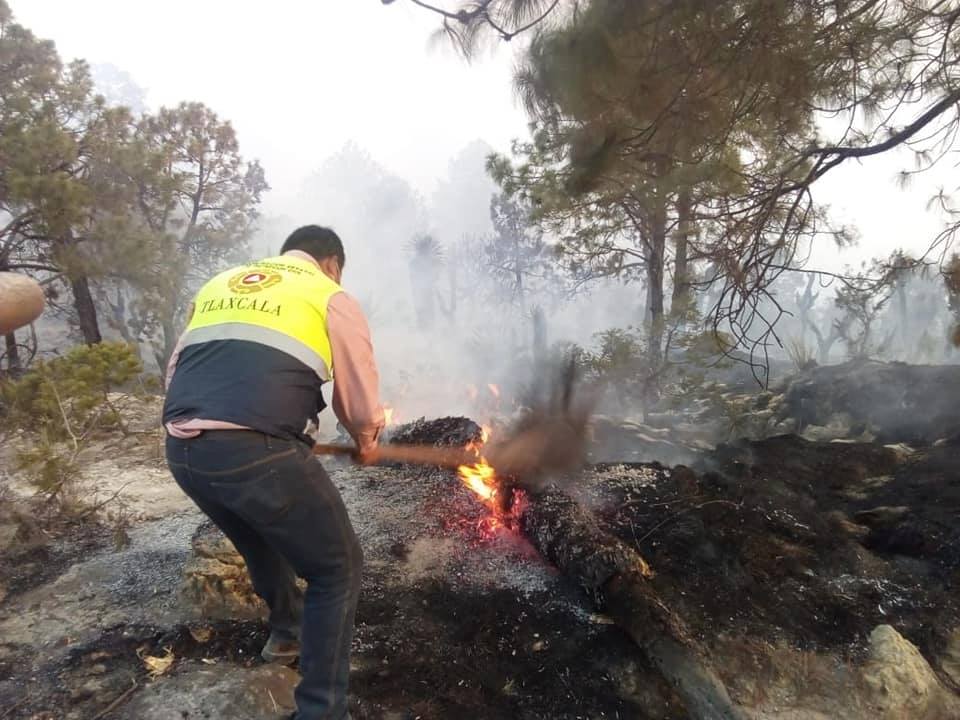 Tlaxcala entre los estados con mayor número de incendios en lo que va del 2020. (Especial)