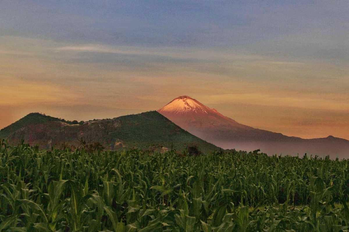 Vista del cerro de origen volcánico, llamado el Tecajete y el Popocatépetl al amanecer. (Andrés Lobato)