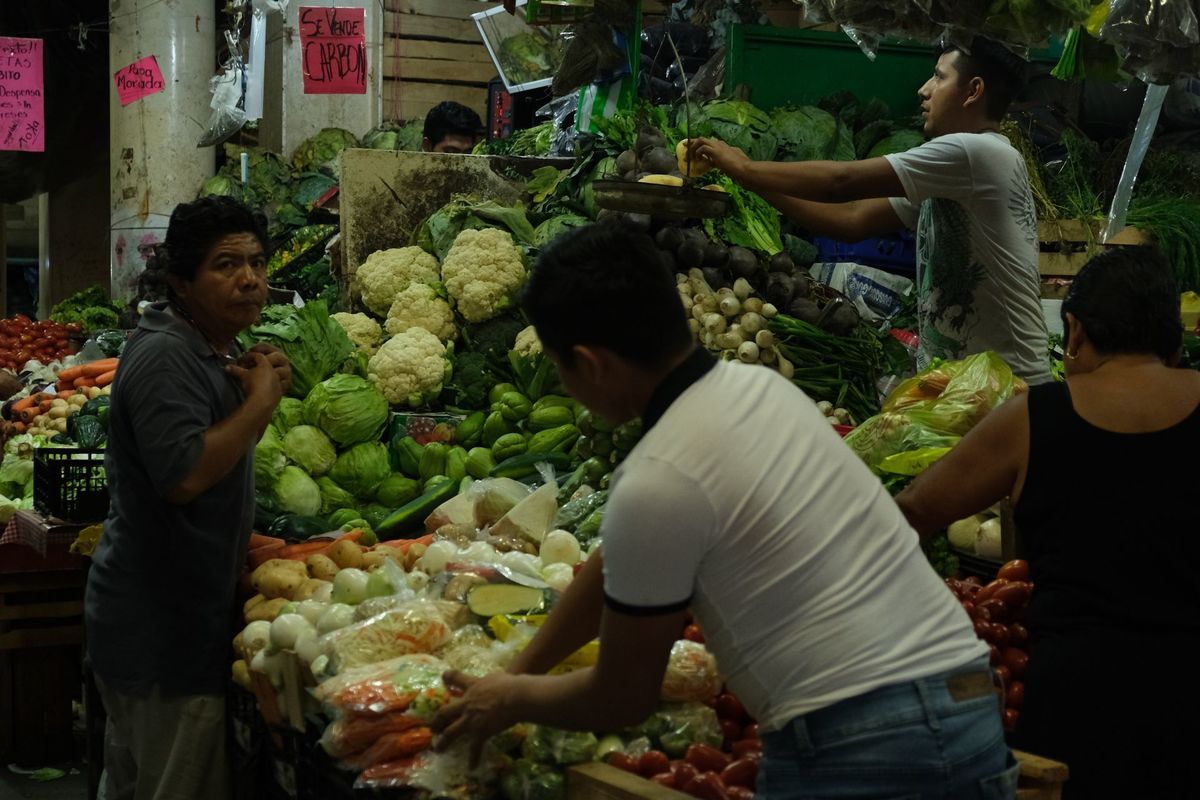La agricultura es uno de los pilares económicos de la entidad. (Cuartoscuro / Archivo)