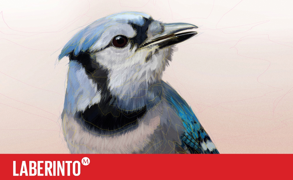 El pájaro palpitante. (Ilustración vía Mixkit)