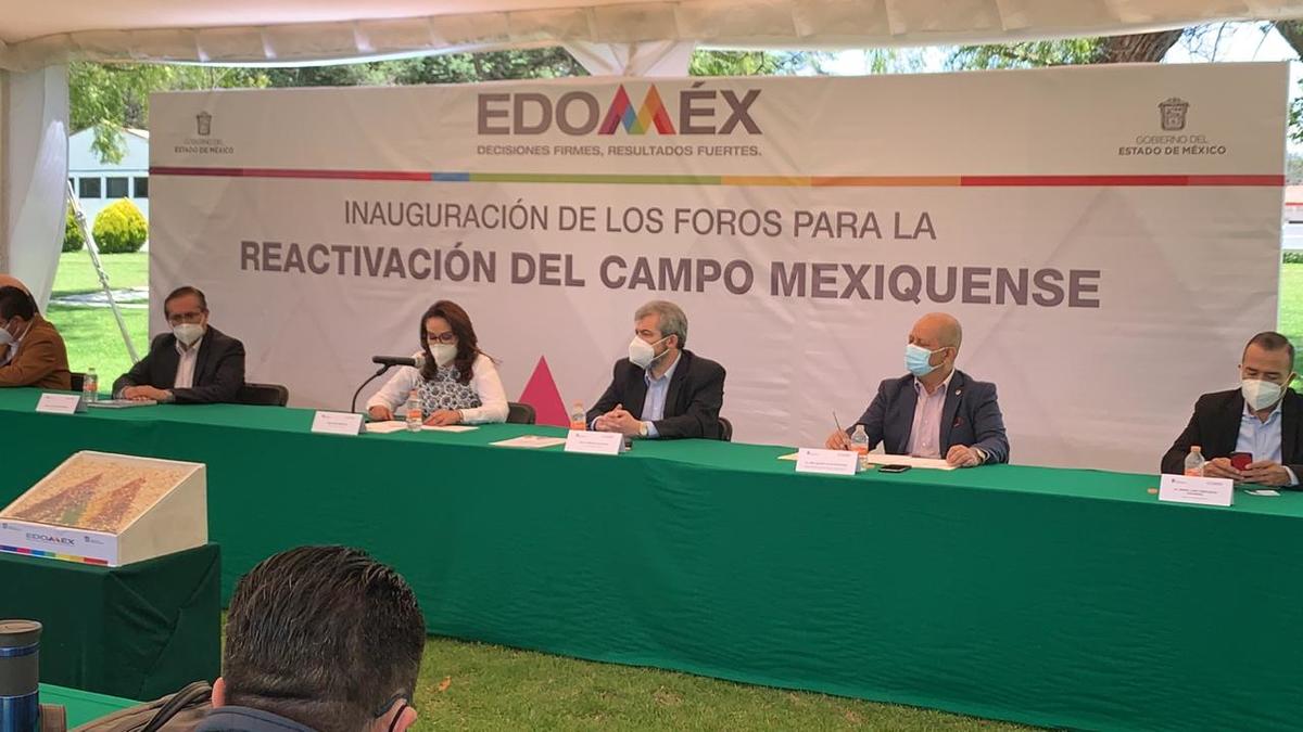 “Llevaremos a cabo 16 foros regionales de consulta y de diversos productos". (Moserrat Mata)