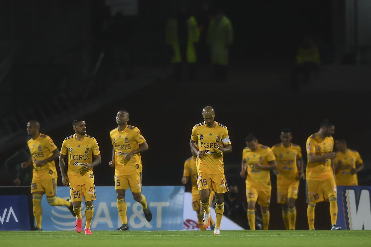 Tigres (Imago7)